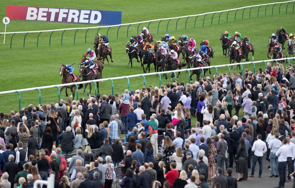 Cesarewitch smash up!