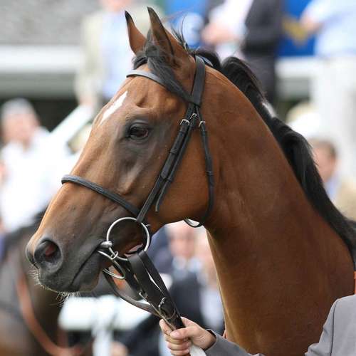 hamishmcgonagall240813gs
